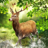 猫生活小猫官网在哪下载 最新官方下载安装地址